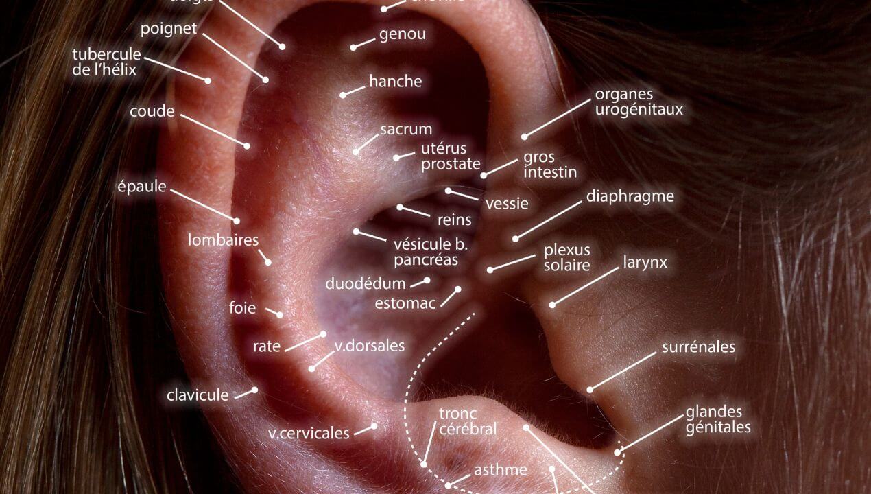 Acupuntura Auricular - Descubre los Beneficios de esta Antigua Terapia