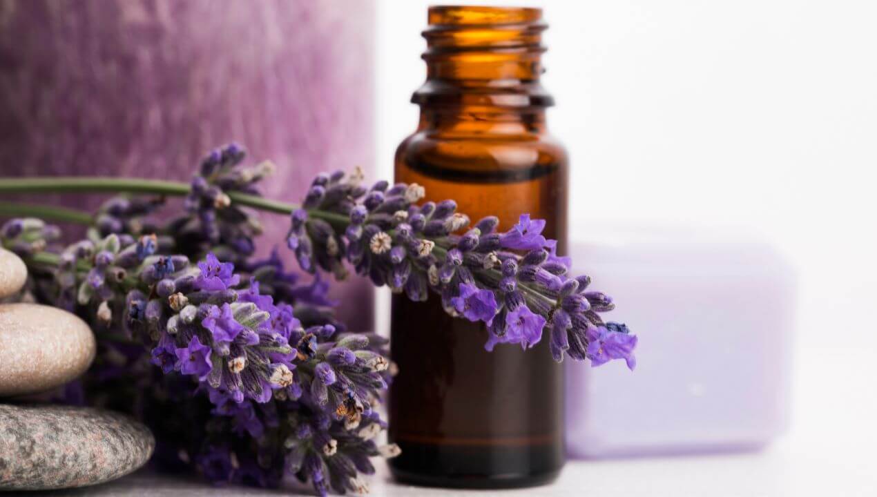 Descubre los Beneficios de los Aceites Esenciales de Lavanda para tu Bienestar