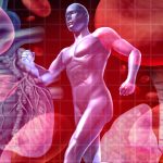 Enfermedades Cardiovasculares: Comprendiendo los Riesgos y la Prevención