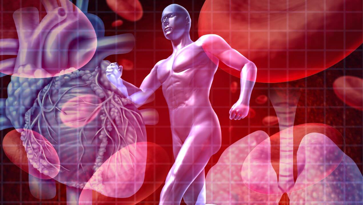 Enfermedades Cardiovasculares: Comprendiendo los Riesgos y la Prevención
