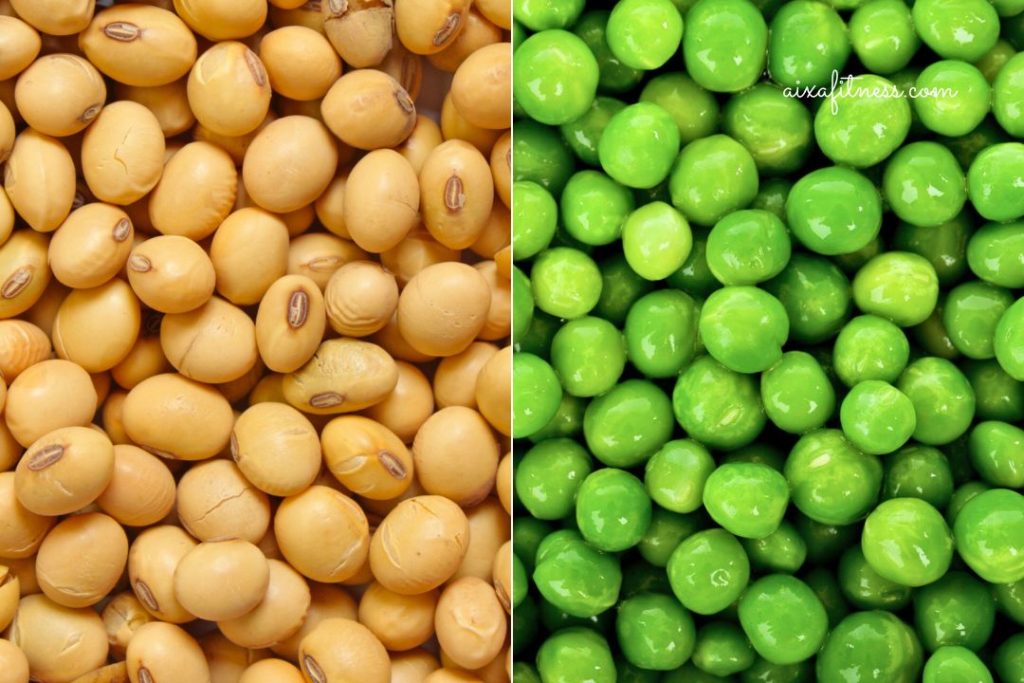 sustitutos-de-carne-proteína-de-soja-y-proteína-de-guisante